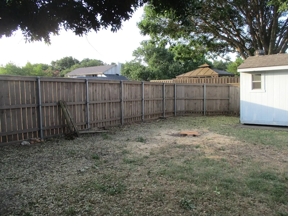 Cleared yard after professional tree removal in Coralville